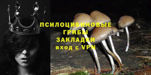 синтетический гашиш Елизово